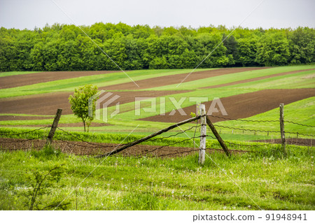arable field  and meadow in Ukrainian village 91948941