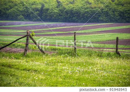 arable field and meadow in Ukrainian village 91948943