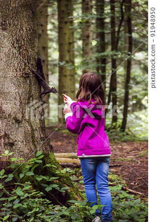 a girl feeding a carpathian squirell in the forest, Skole Beskids National Nature Park, Ukraine 91948950