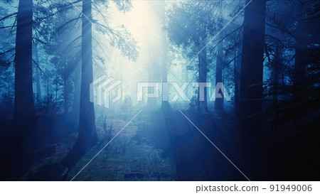 Sunshine with Blue Foggy Forest 91949006