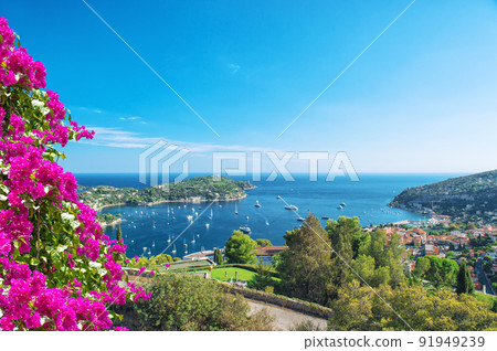 Mediterranean sea view Summer background rhododendron flowers Mediterranean sea view Summer background rhododendron flowers 91949239