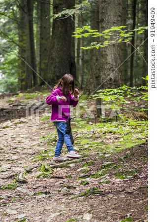 a girl feeding a carpathian squirell in the forest, Skole Beskids National Nature Park, Ukraine a girl feeding a carpathian squirell in the forest, Skole Beskids National Nature Park, Ukraine 91949409