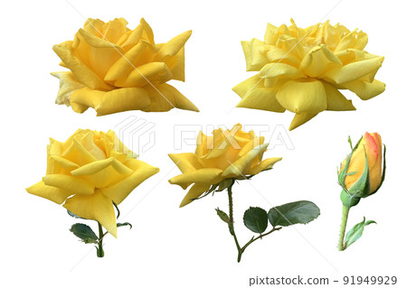 Empty closed cardboard box mock up clipping path 91949929