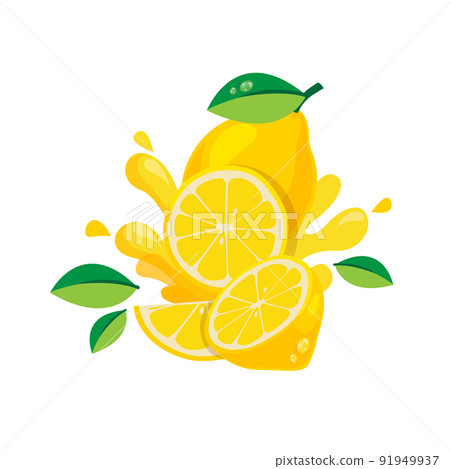 mango fruit 91949937