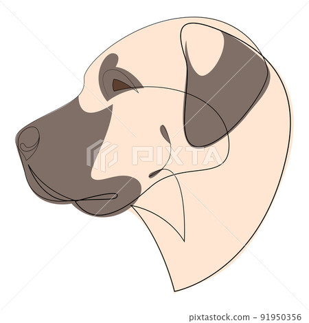 Continuous line Anatolian Shepherd. Single line minimalist style dog vector illustration. Portrait 91950356