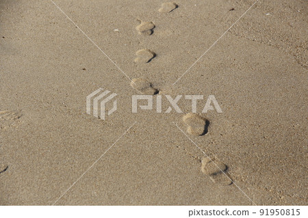 海濱 海濱 91950815