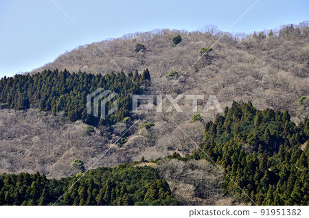 Lake Tanzawa and Mitsuba dake, Yamakita Town, Kanagawa Prefecture Lake Tanzawa and Mitsuba dake, Yamakita Town, Kanagawa Prefecture 91951382