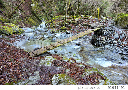 丹澤Azegamaru，大瀧澤路線上的大瀧澤木橋 91951491