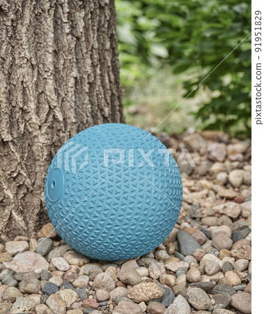 slam ball in a backyard slam ball in a backyard 91951829