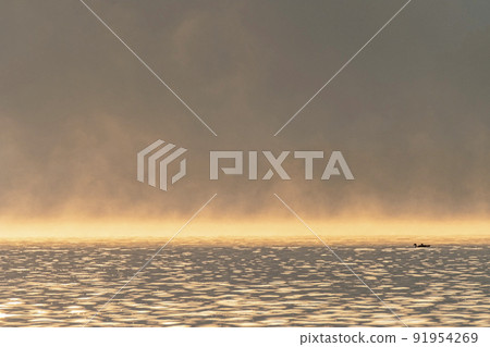 背景材料:從水面升起的霧,在晨光中閃耀的風景(多哥池塘) 背景材料:從水面升起的霧,在晨光中閃耀的風景(多哥池塘) 91954269