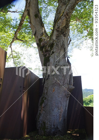 河公園 河公園 91954323