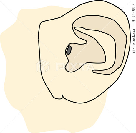 Illustration material of child's ear Illustration material of child's ear 91954999