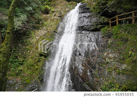[Seireino Falls] Nishikawa, Kawakami-mura, Yoshino-gun, Nara Prefecture 91955035