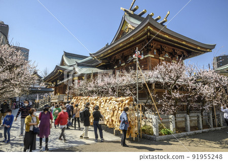 Yushima Tenjin Shrine, the precincts of the plum festival, Bunkyo-ku, Tokyo 91955248