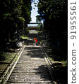 浴衣女人去夏季神社參拜 91955561