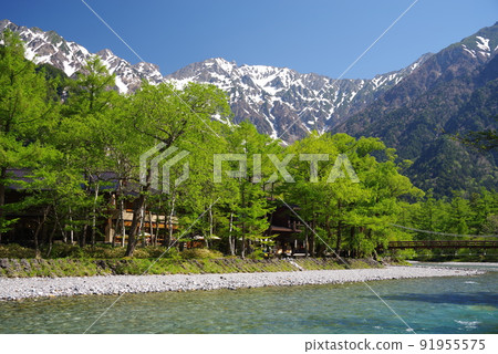 初夏的上高地【河童橋周邊絕景】 初夏的上高地【河童橋周邊絕景】 91955575
