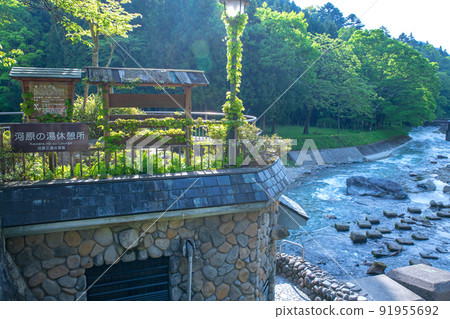 Shima Onsen, Shima River, near Hagibashi, Kawahara no Yu, fresh green season 91955692
