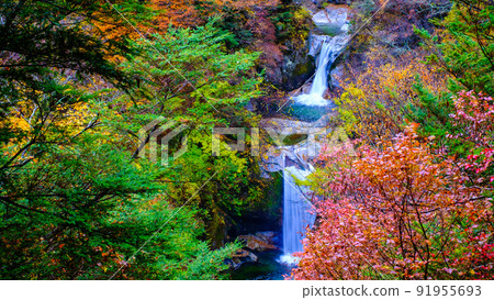 Ojiragawa Canyon: Kamijataki (Autumn) Ojiragawa Canyon: Kamijataki (Autumn) 91955693