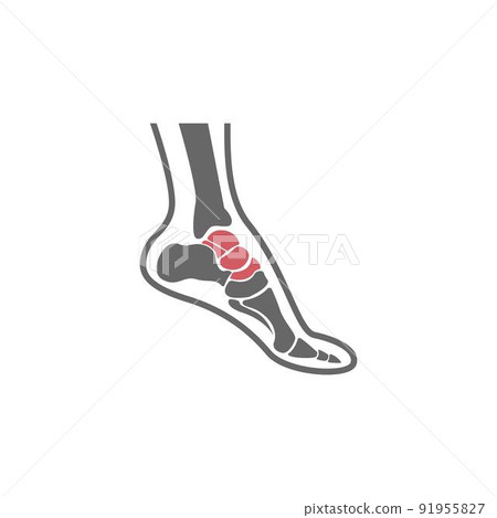 Human foot icon logo design illustration Human foot icon logo design illustration 91955827