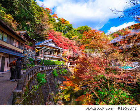 Bright autumn leaves and Minoo River 91956378