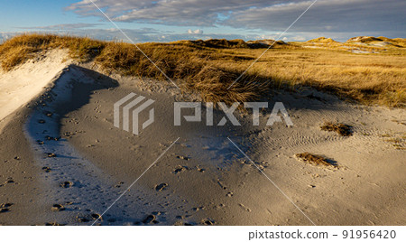 Amazing landscape at the Wadden Sea in St Peter Ording Germany 91956420