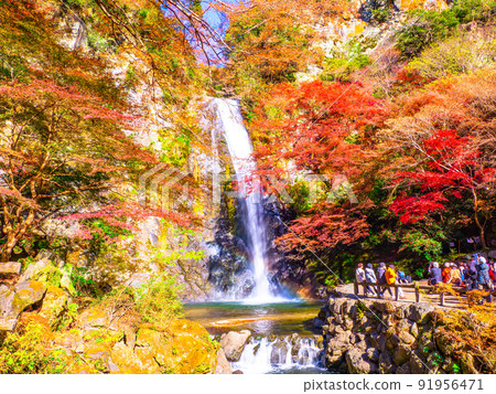 Minohs Falls and autumn leaves 91956471