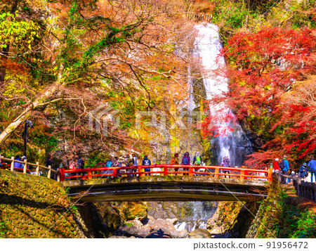 Minohs Falls and autumn leaves 91956472