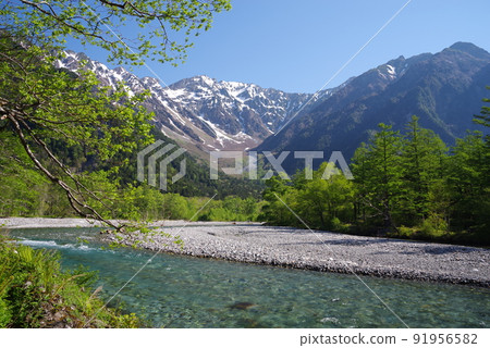 初夏的上高地【河童橋周邊絕景】 初夏的上高地【河童橋周邊絕景】 91956582
