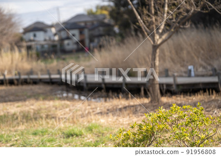 一條有彈性的小公園木板路 91956808