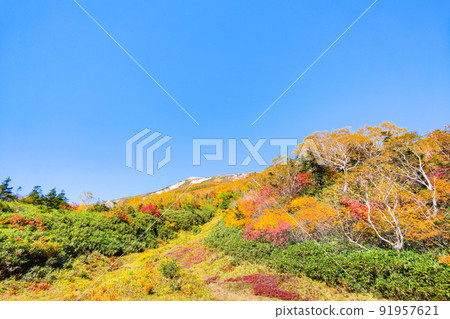 Tsugaike Nature Garden (Autumn) 91957621
