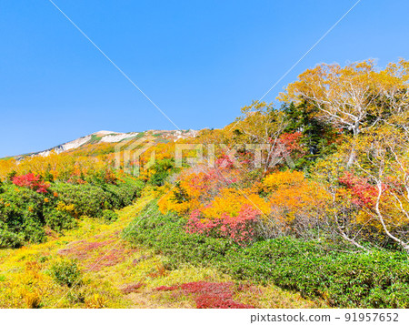 Tsugaike Nature Garden (Autumn) 91957652