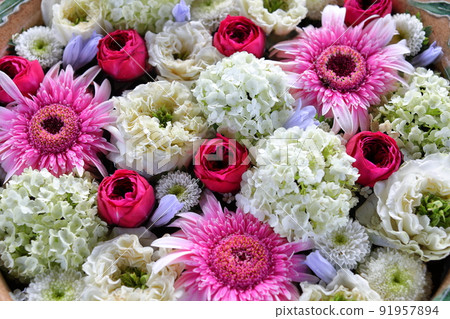 Kawagoe Aquatic Park, Ogaya Town, Kawagoe City, Saitama Prefecture 91957894