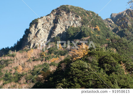 Autumn leaves of Kamikochi in autumn Autumn leaves of Kamikochi in autumn 91958615