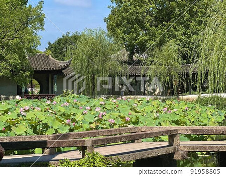 【中國蘇州】世界文化遺產拙政園 91958805