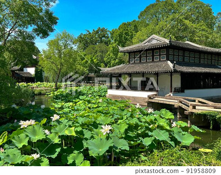 【中國蘇州】世界文化遺產拙政園 【中國蘇州】世界文化遺產拙政園 91958809