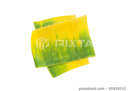 Green yellow banana leaves on white background 91959532