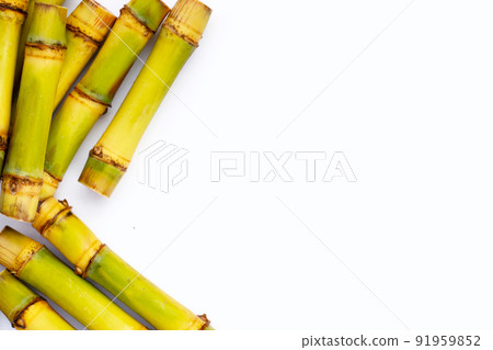 Sugar cane on white background. Sugar cane on white background. 91959852