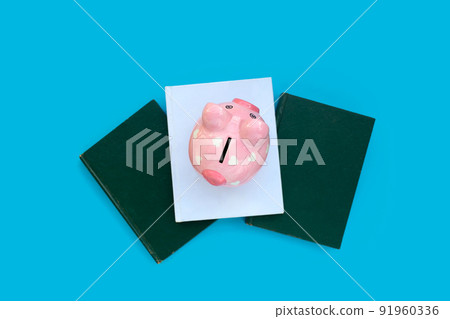 Pink piggy bank with books Pink piggy bank with books 91960336