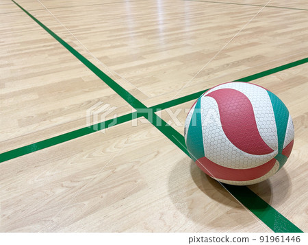 體育館和排球 91961446