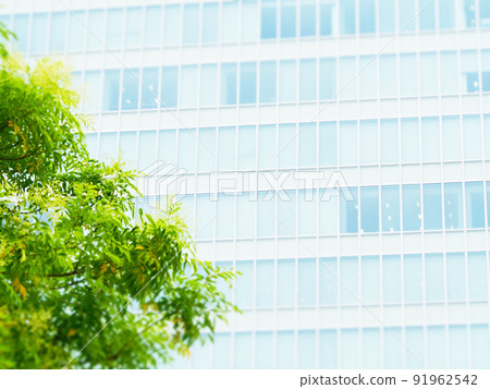 Tall buildings and trees Tall buildings and trees 91962542