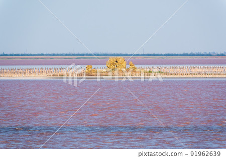 A beautiful salt lake with pink water. A beautiful salt lake with pink water. 91962639