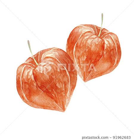 Hozuki Hozuki Onikari 水彩插圖 91962683