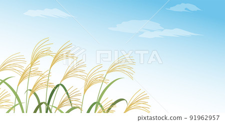 Japanese pampas grass and autumn sky_background (2: 1) Japanese pampas grass and autumn sky_background (2: 1) 91962957