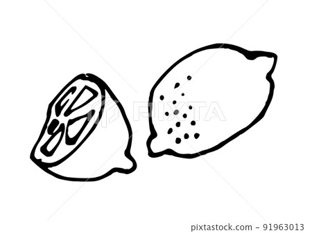 Lemon simple illustration line drawing 91963013