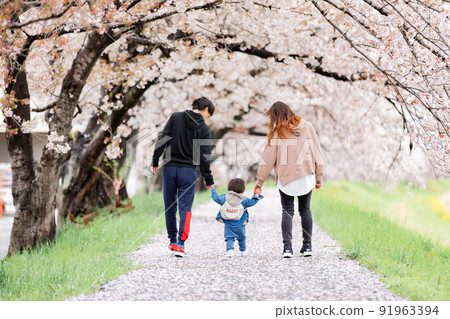 Family with children walking along the cherry blossom trees Family with children walking along the cherry blossom trees 91963394