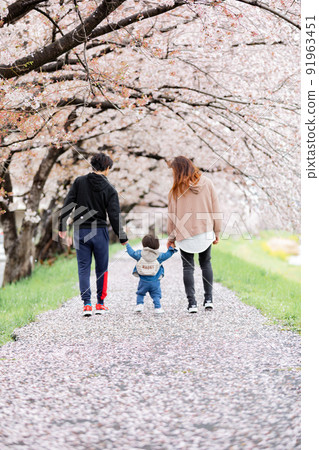 Family with children walking along the cherry blossom trees Family with children walking along the cherry blossom trees 91963451