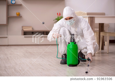 Young male contractor doing pest control at home Young male contractor doing pest control at home 91963506