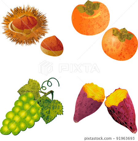 Autumn Autumn taste Gifts Fruits Vegetables Watercolor Analog touch Cute illustration material set 91963693