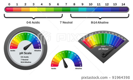 pH meter checking acidity level, vector illustration pH meter checking acidity level, vector illustration 91964398