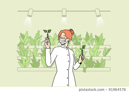 Scientist working with plants in greenhouse Scientist working with plants in greenhouse 91964576